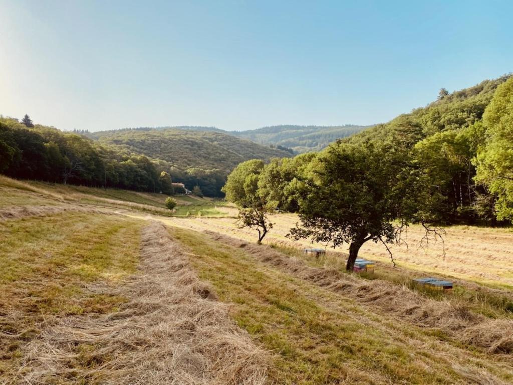 Nabat Le Haut, Chambre Et Table D'Hotes Courniou エクステリア 写真