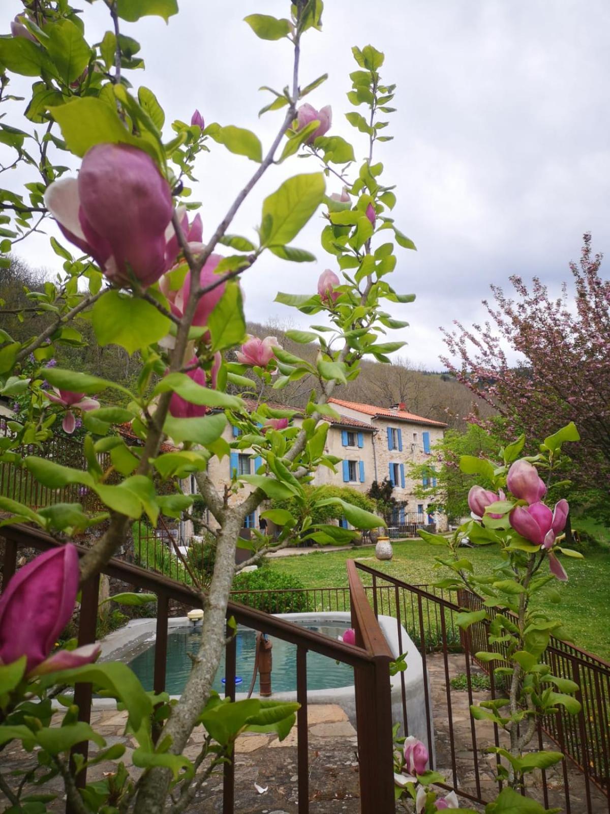 Nabat Le Haut, Chambre Et Table D'Hotes Courniou エクステリア 写真