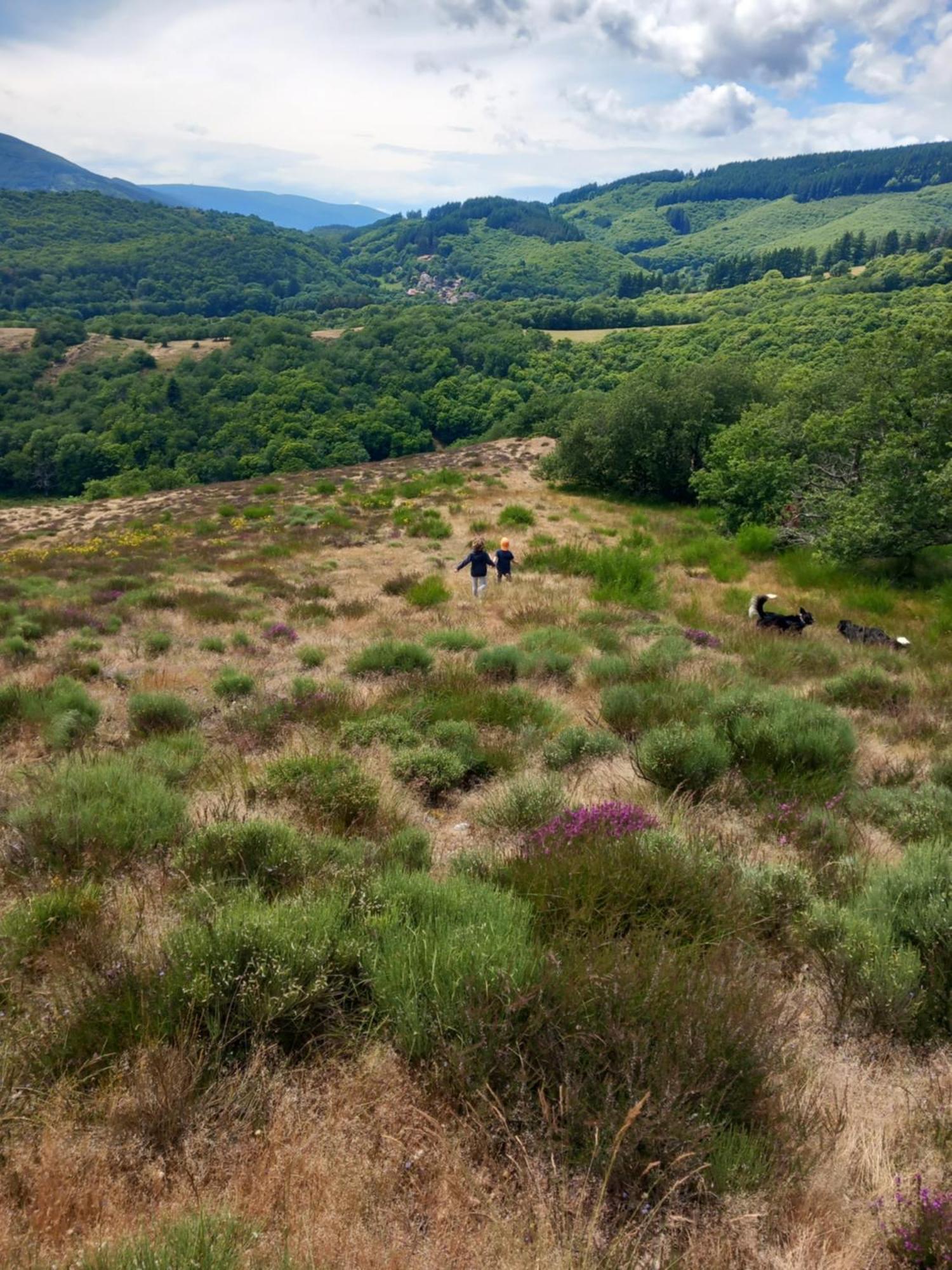 Nabat Le Haut, Chambre Et Table D'Hotes Courniou エクステリア 写真